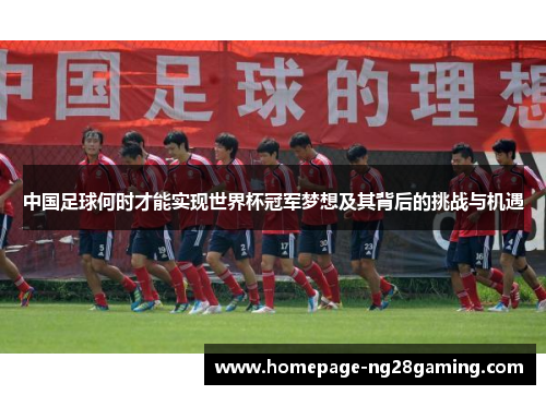 中国足球何时才能实现世界杯冠军梦想及其背后的挑战与机遇