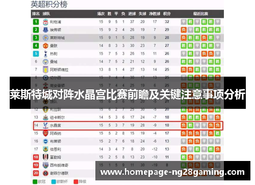 莱斯特城对阵水晶宫比赛前瞻及关键注意事项分析