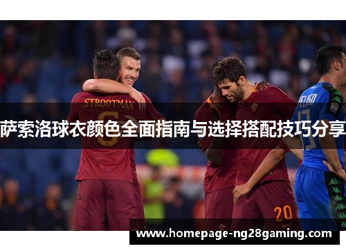 萨索洛球衣颜色全面指南与选择搭配技巧分享