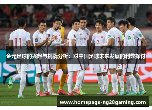 金元足球的兴起与挑战分析：对中国足球未来发展的利弊探讨