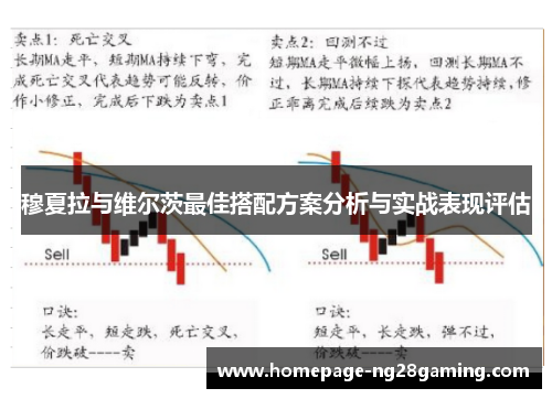 穆夏拉与维尔茨最佳搭配方案分析与实战表现评估
